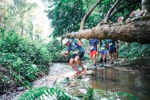 BIB: 
                            <button type="button" onclick="openModal(25460117)" class="btn btn-primary btn-sm float-right btn-popup" data-toggle="modal" data-target=".modal-high-quality">
                        <i class="fas fa-shopping-cart"></i> Add to Cart
                    </button>
                                            <button type="button" onclick="isThisMe(25460117, true)" class="btn btn-success btn-sm float-right btn-popup btn-isme hidden" data-toggle="tooltip" data-placement="bottom" title="นี่คือรูปของคุณใช่ไหม คลิกที่นี่เพื่อเอาเข้าอัลบั้ม">
                        <i class="fas fa-plus"></i> Add to album
                    </button>
                    <button type="button" onclick="isThisMe(25460117, false)" class="btn btn-warning btn-sm float-right btn-popup btn-isnotme hidden">
                        <i class="fas fa-ban"></i> Remove from album
                    </button>